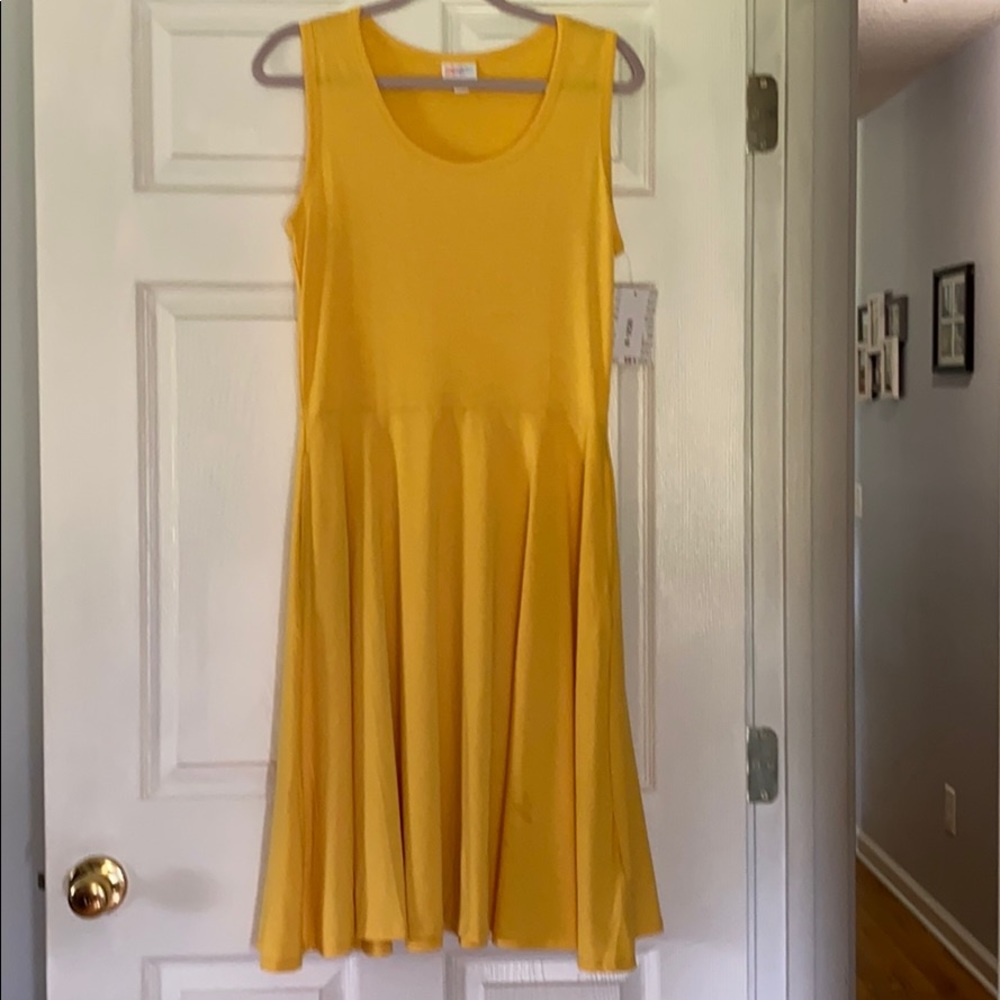 LuLaRoe Nicki NWT size M dress only